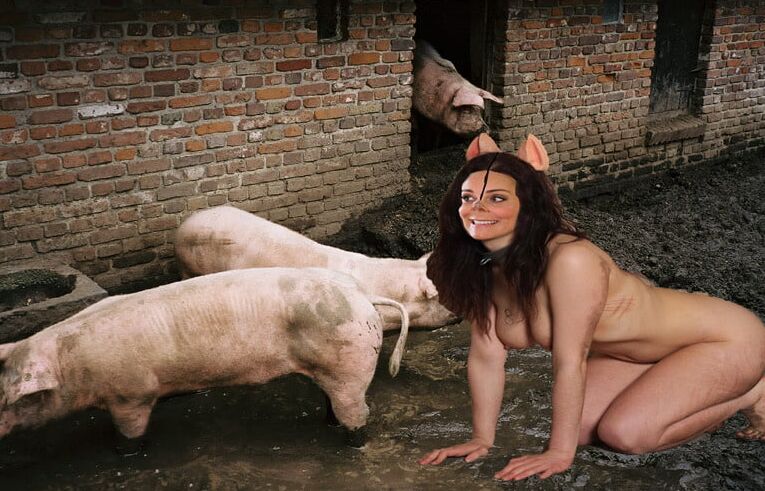 PIG PLAY