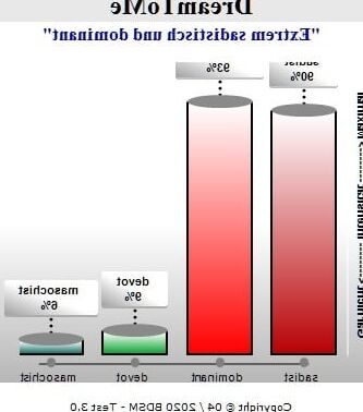 BDSM-Test