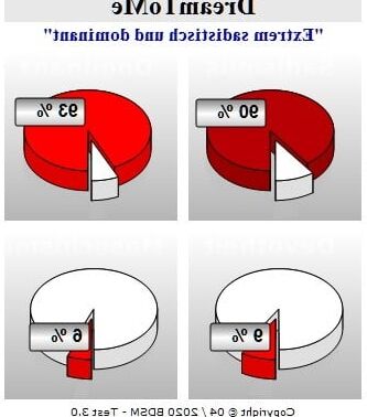 BDSM-Test