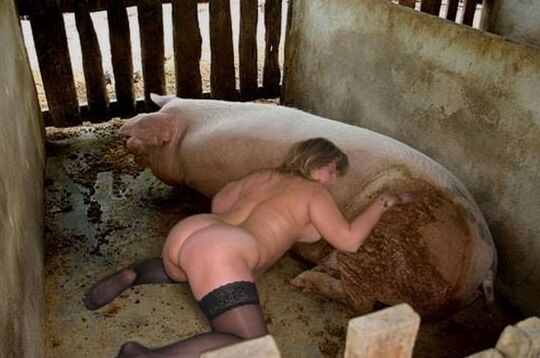 PIG PLAY