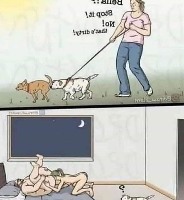 memes