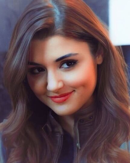 Hande Ercel