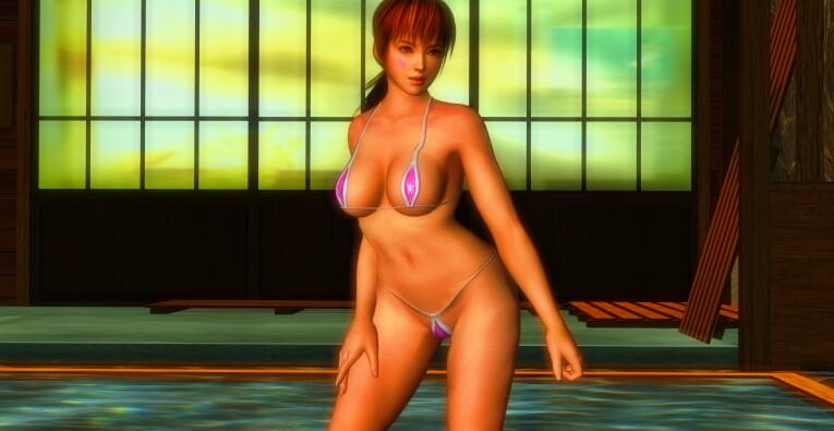 Video game Vixens vol - Kasumi