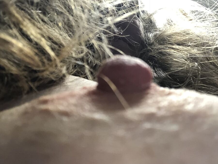 My breasts