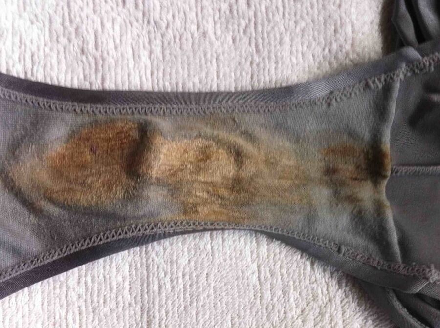 Dirty panties