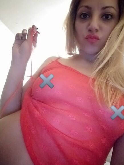 quien me hace un tributo?