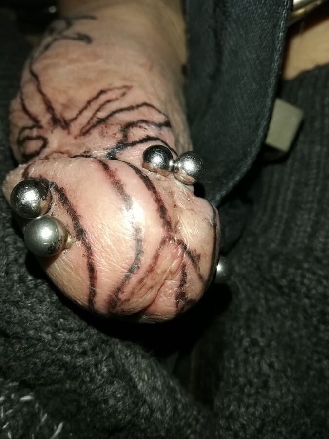 TATTOOED COCK
