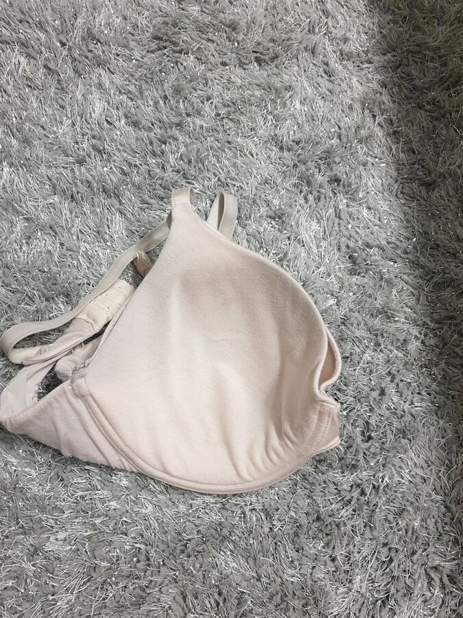 My Sisters DD Bras