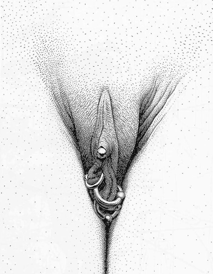 sm en dessins