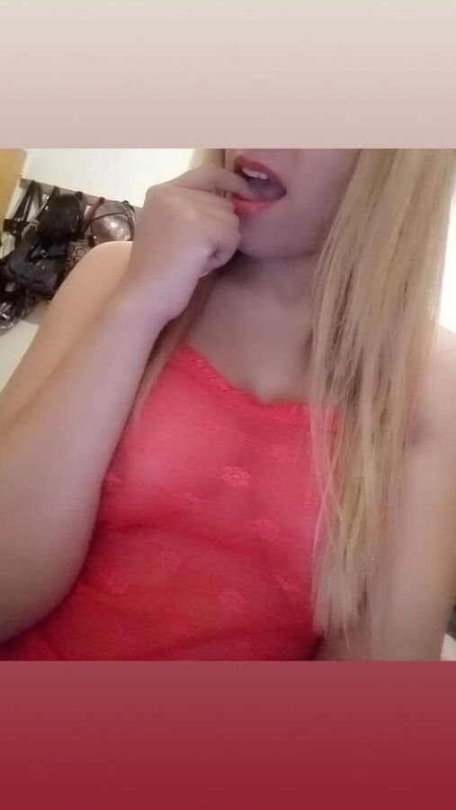 quien me hace un tributo?
