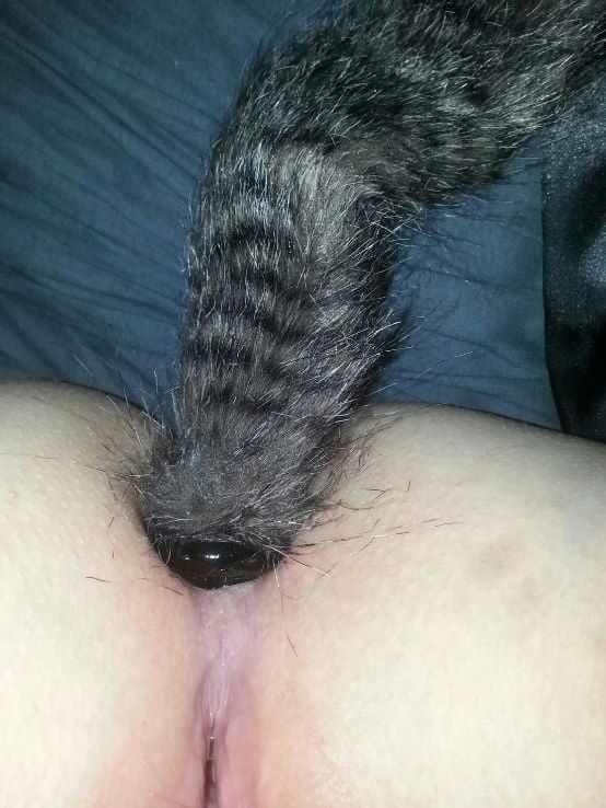 Lizexposure