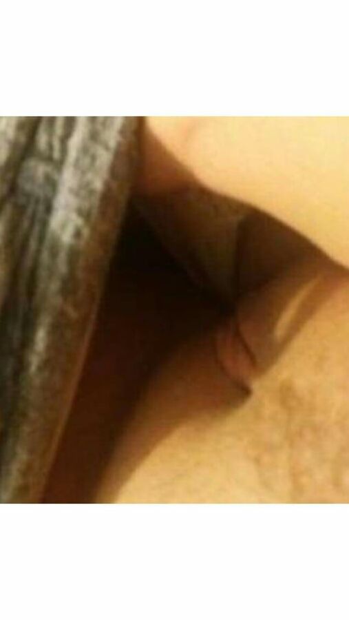 Hungarian chubby