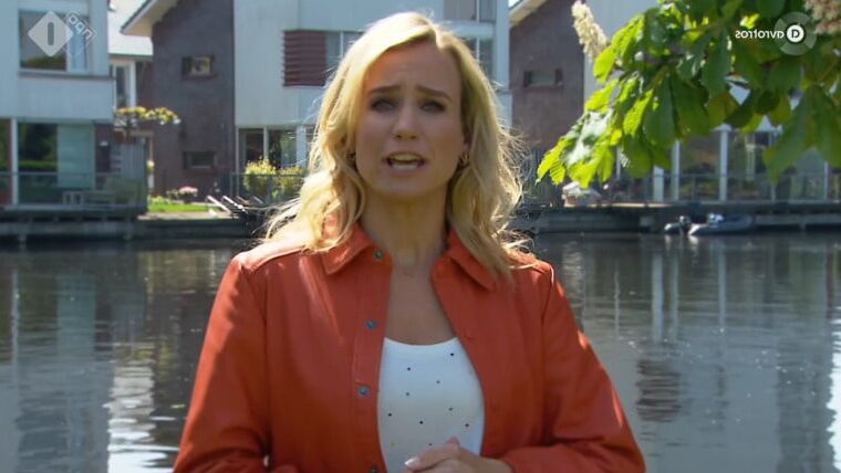 tv babe dionne stax vol