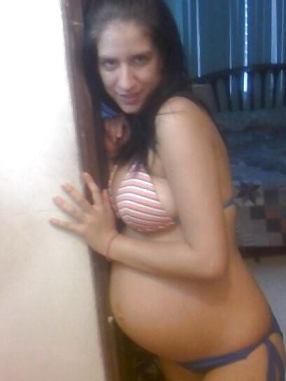 Chiennes enceinte