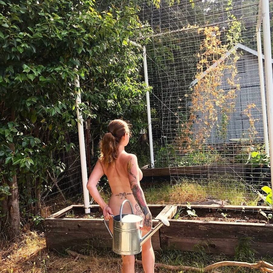 The Perfect Garden