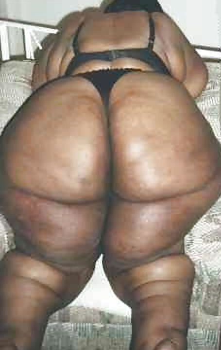 bbw fat huge butts