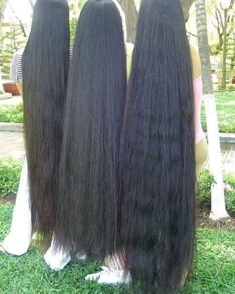 Mixed Very Long Hairs