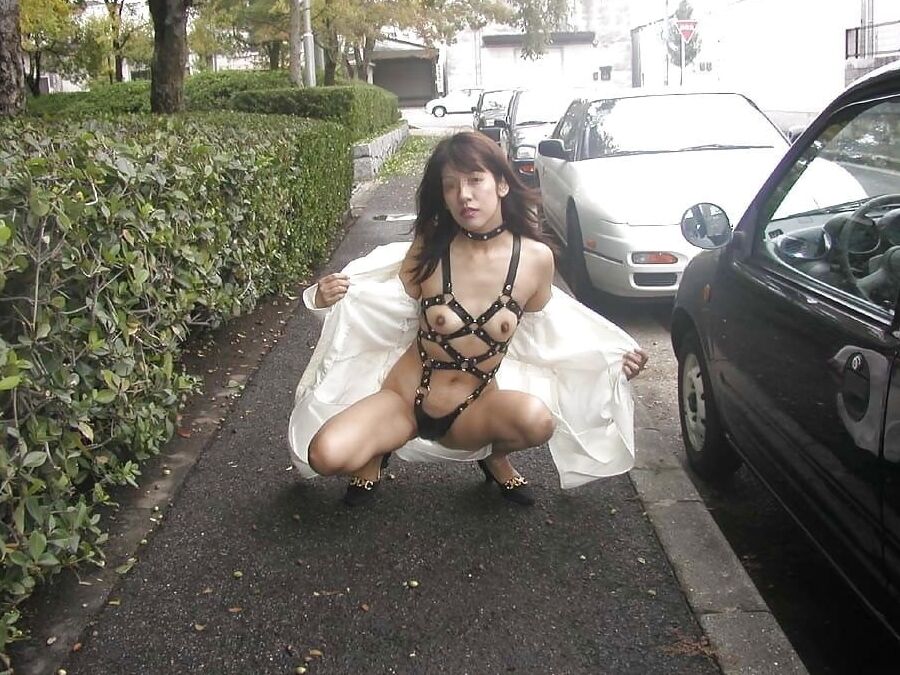 Japanese Amateurs In Harnesses Part