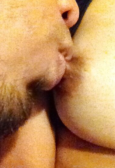 sucking tits