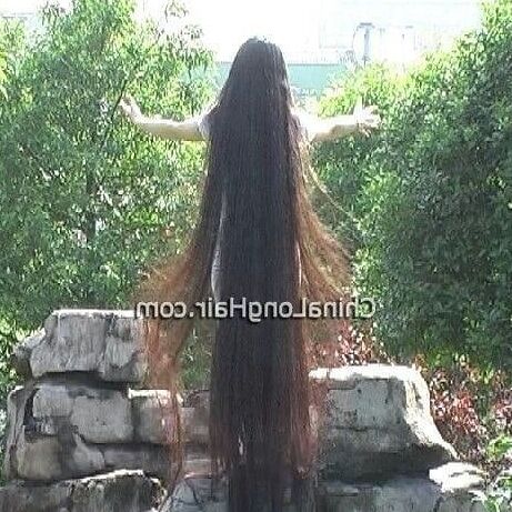 Mixed Very Long Hairs