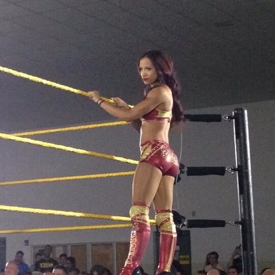Sasha banks jerk off pics