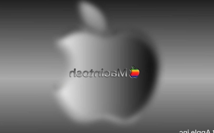 Wallpaper