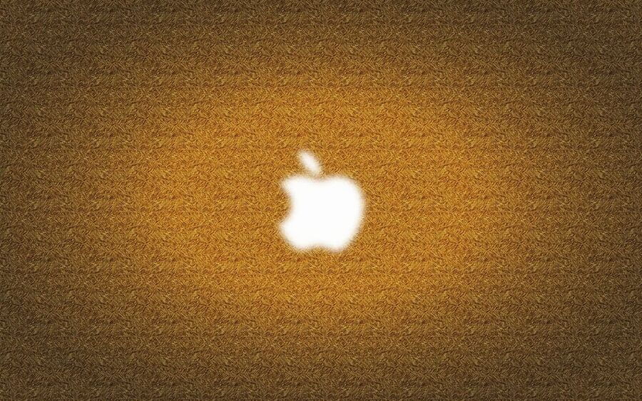 Wallpaper