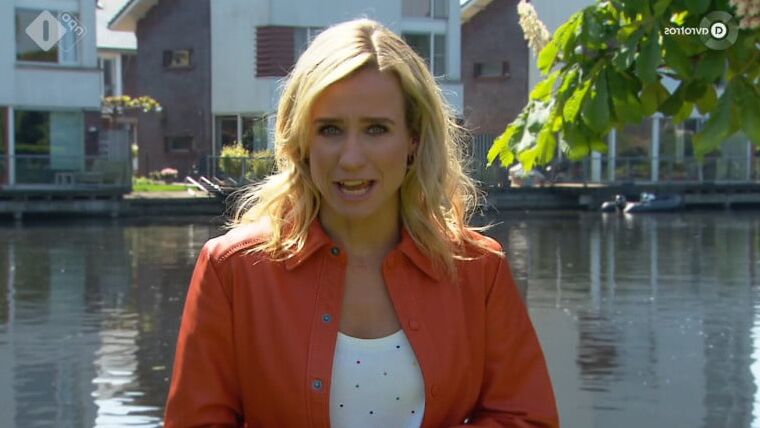 tv babe dionne stax vol