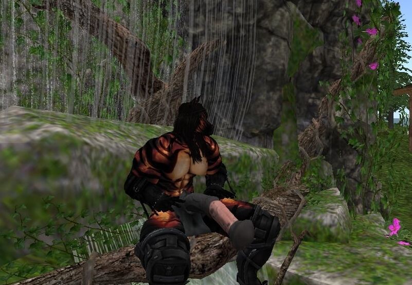 Second life