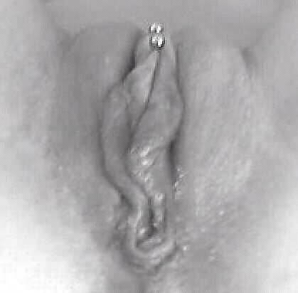 MY USED PUSSY