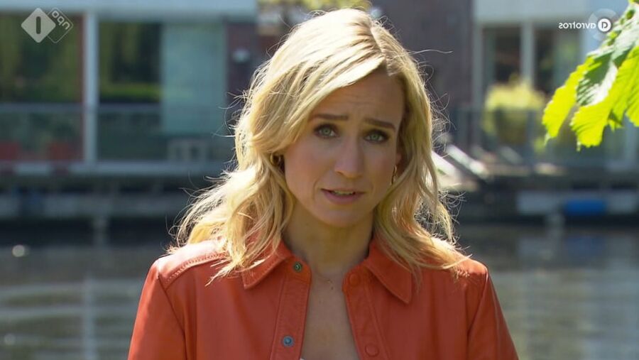 tv babe dionne stax vol
