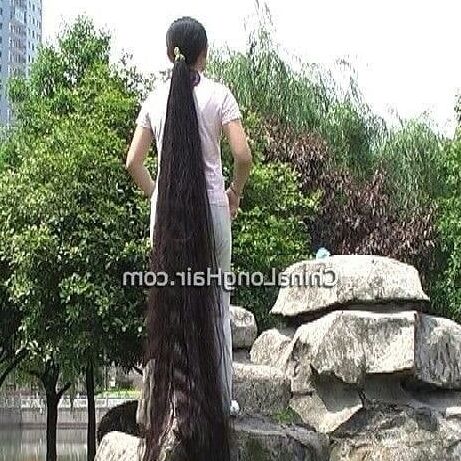 Mixed Very Long Hairs
