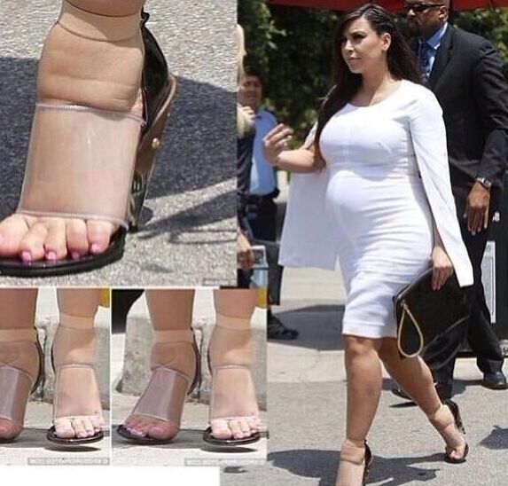 Chiennes enceinte