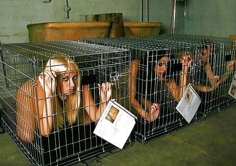 caged