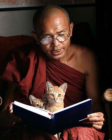 Wisdom