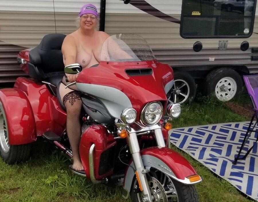 Bbw mix (photos submitted)