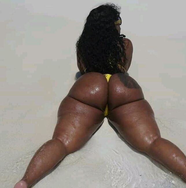 South African Wives II