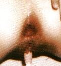 favourite anal pics