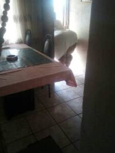 Negrota
