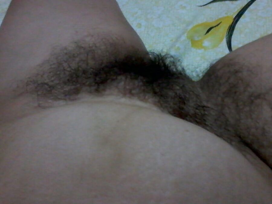 Tante troie