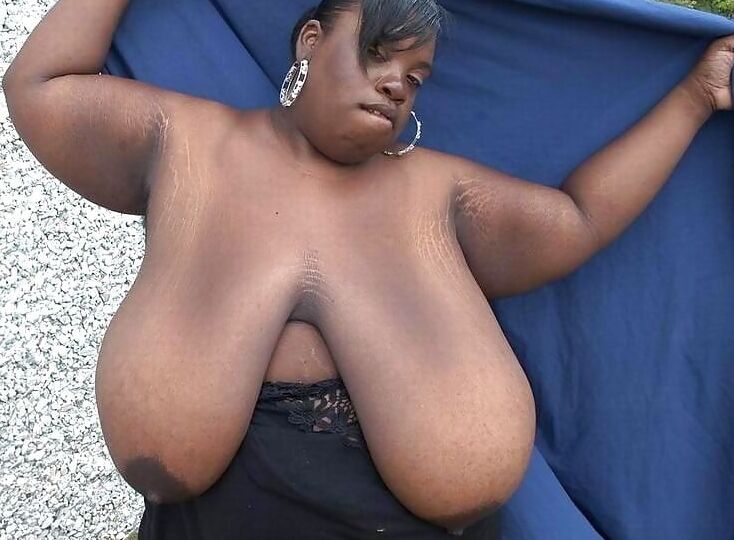 big udders .