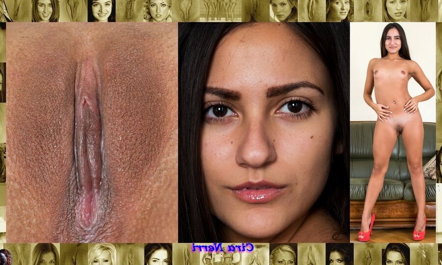 My Body, Face, And Pussy Vol.