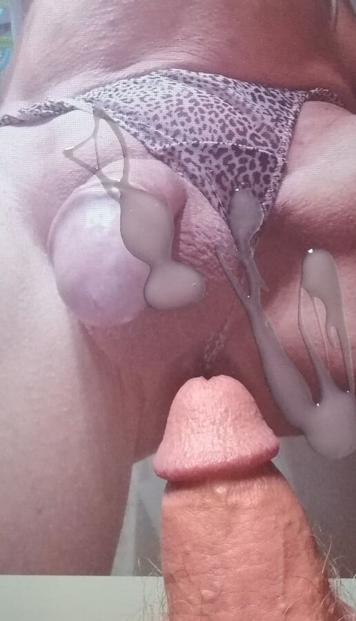 pour mes maitres