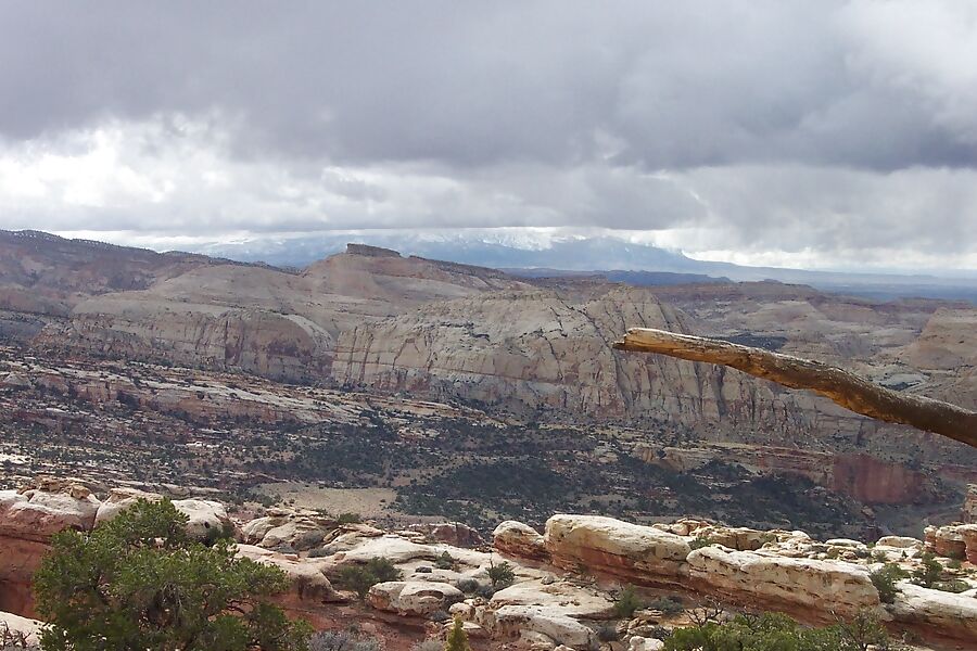 covid utah