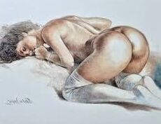 Illustrations en vrac