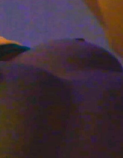 Big ass tribute