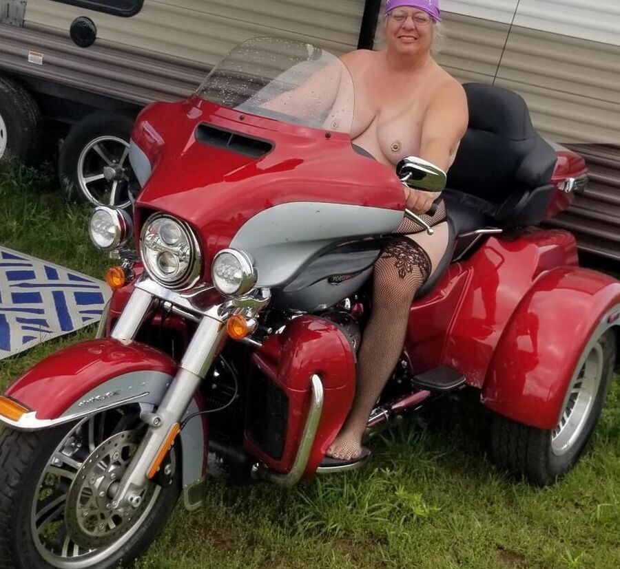 Bbw mix (photos submitted)