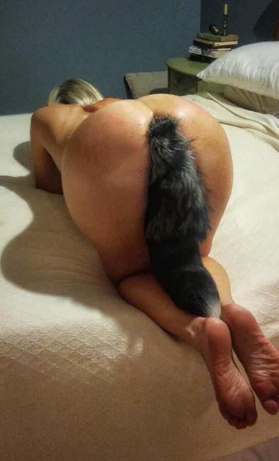 foxtail buttplug