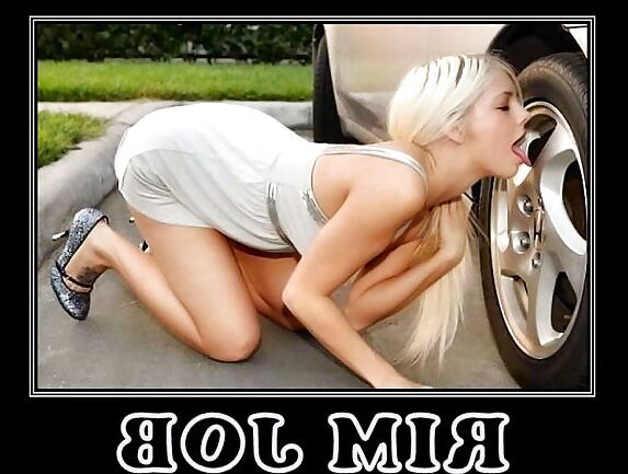 funny pictures