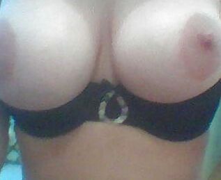 Harness me plz